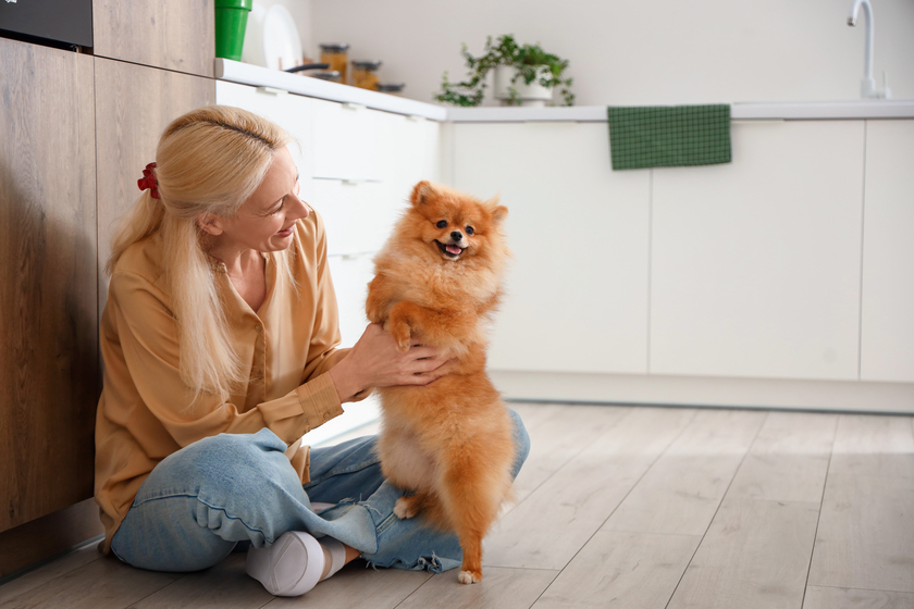 Tips For Moving Pets Into Ridgeland, MS Retirement Community